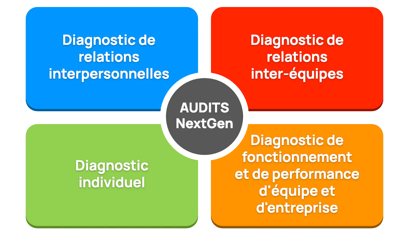 AUDITS NextGen, quatre diagnostics : Diagnostic de relations interpersonnelles, Diagnostic de relations inter-équipes, Diagnostic individuel, Diagnostic de fonctionnement et de performance d'équipe et d'entreprise
